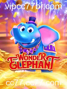 Descubra o Fascinante Mundo de WonderElephant